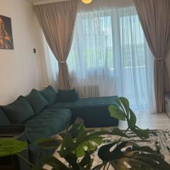 Apartment Ultracentral splendid