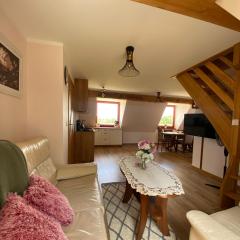 Apartament Pod Ostryszem