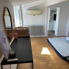 Apartment with large terrace in Barrière de Toulouse