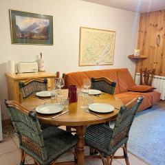 Appartement T2 avec jardinet proche du centre, Wi-Fi, garage - FR-1-624-61