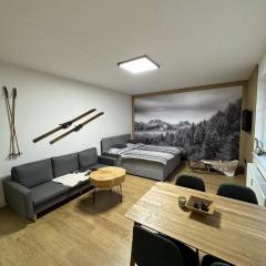 Apartmán Horálek