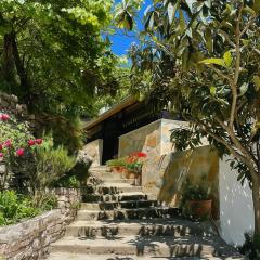 Latifi Guesthouse