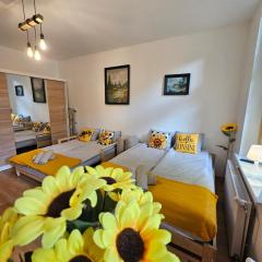 Słonecznikowy Loft Parter