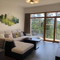 Lipno Port Apartment A303 - Lipno Home