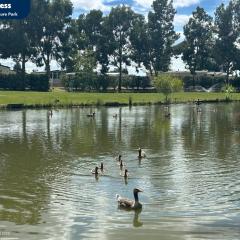 Pine Trees Leisure Park - Pet Friendly