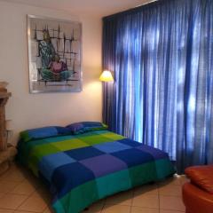 Modern studio with garden