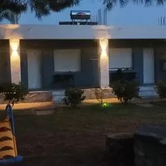 Amari