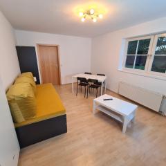 Rent House - Work and Sleep in Neustetten - Ideal für Teams und Monteure bis 4 Personen - Ganze Wohnung - ruhig und kühl im Sommer - eigener Garten mit Grill - easy Check-In - weitere Unterkünfte Vorhanden