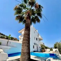 2 bedroom self-contained apartment and swimming pool at Palm Tree Villa