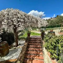 Agriturismo Tassinaia