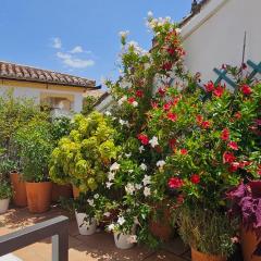 Apartamentos Los Descalzos Ángel With Private Terrace Free Parking