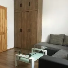 Cozy apartment in the city center