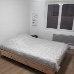 Appart T1 - Metz - Verdier - 1