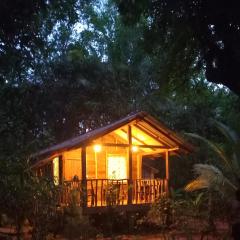 Sigiri Bliss Garden Home Stay