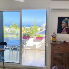 Appt Blue lagoon vue mer à La Saline les bains