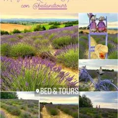 Bed & Tours Dimora di campagna