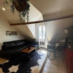 Appartement lumineux au cœur de Montmartre