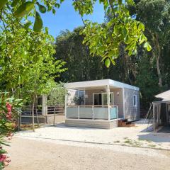 DOLORES 250 meters to the beach