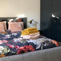 appartement cosy