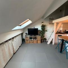 Cosy Rooftop Studio Nice Centre