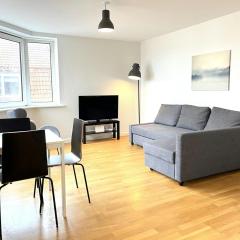 Central and Spacious Apartment for 7 in Vestbyen