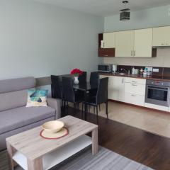 Apartament Brzozowa
