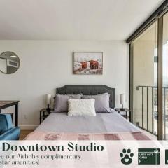 Stylish Downtown Studio Conference Rooms Free Pkg Gym