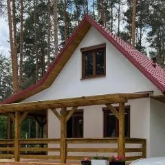 Leśna Oaza Radawa