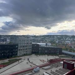 Tromsø city center Vervet