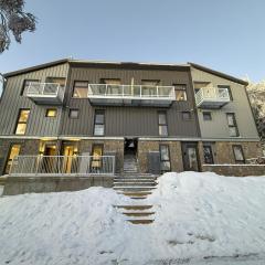 Elegant 3 Bedroom Ski Lodge 450m Ski Lift and slopes