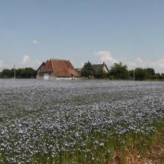 La Huberdière