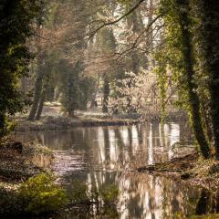 Apartment am Schlosspark