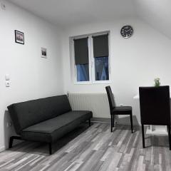 ROYAL RACiNG SUITE TOP 6