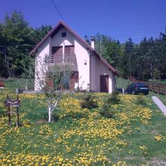 Holiday Home Čančarević