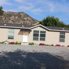 Brand New Scenic Sequoia House