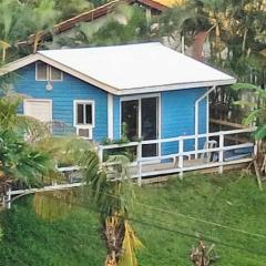 Blue haus