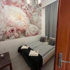 Spring Roses Downtown Boutique Hotel ON THE FAMOUS VÁCI FASHION STREET FREE COFFEE, TEE
