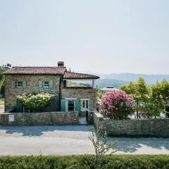 horizon 241
