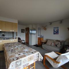 Grand appart spacieux 7 pers proche pistes, animaux admis - FR-1-445-2