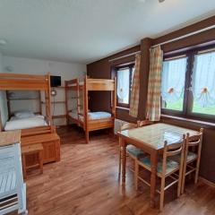 Studio économique 4 pers, animaux admis (1 max) - FR-1-445-75