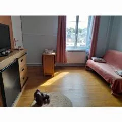 Les roses à la plage