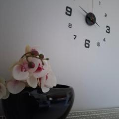 Titi's home