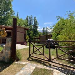 Potrerillos Experience