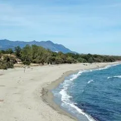 Cozy 2-room beachfront Résidence Sognu Di Mare Casa Serenita