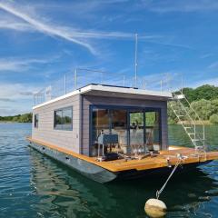 Bateau Panoramique sans permis Lac du Der - Giffaumont