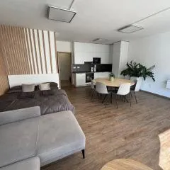 PeopleGuru apartments - Terasa, Garáž