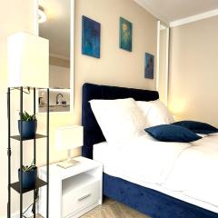 Garbary BLUE SOUL 40