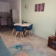 Charmant F1 près tramway et plage