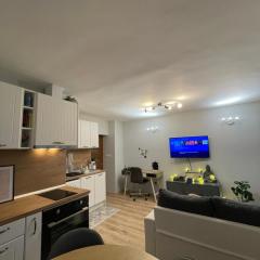 Quiet Comfort Walk Everywhere