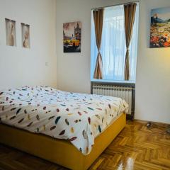 The Riverside Harmony Sarajevo - Parking available - Walk everywhere